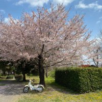 とみかず (@tomikazu0720i) 's Twitter Profile