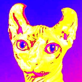 Velkinさんのプロフィール画像