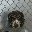 William Bartholic - @WilliamBuru - Twitter