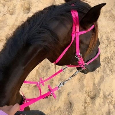 Bohlfaya1's profile picture. 712🕊