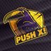 Push X! (@pushthedamnx) Twitter profile photo