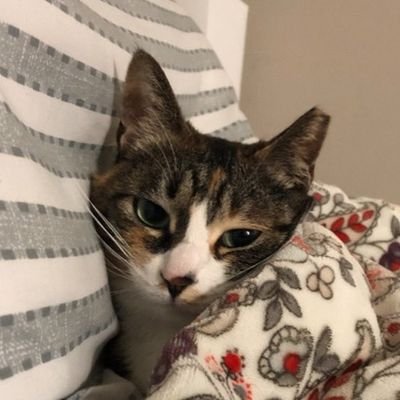 33plzplzplz's profile picture. 자유의 영혼 그리고 감성일상계