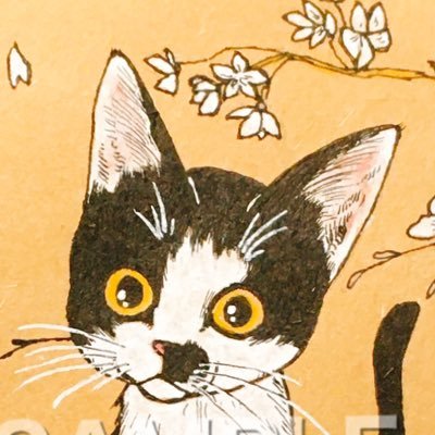 猫絵描き。ペンと水彩で猫を描いています。「いきもののそこに在る今を描きとめる」をコンセプトに愛猫を描き制作記録。 主に愛猫4頭がモデル。☆イベントのお問い合わせ等はDMまでどうぞ★絵画･猫写真無断転載禁止⭐ Image,unauthorized reproduction prohibited.