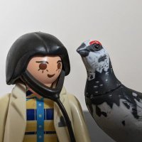 evanjolice (@evanjolice) 's Twitter Profile Photo evanjolice (@evanjolice) 's Twitter Profile Photo