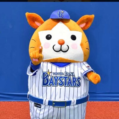 94line|ベイスターズ|#7#8#59#65|ベイスターズファンと繋がりたい|沖縄出身|県民推し|12球団◎|無言フォロー失礼します|