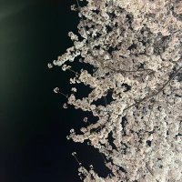 wow (@sunmin_z) 's Twitter Profile