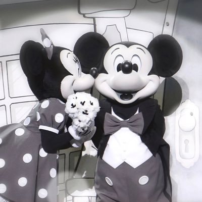ys_disneylife's profile picture. 30↑ / Disney / Mickey & Minnie / Duffy & Friends / Parades & Shows / Canon / Disney Hotels & Restaurants / Disney Halloween & Disney Bound / Twisted Wonderland