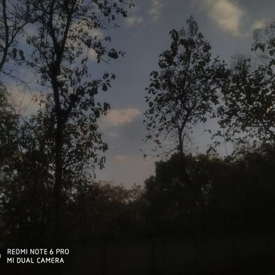 MishraSadhya's profile picture. 