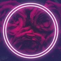 💜 Rose💕Virage 💙 (@rosevirage) 's Twitter Profile Photo 💜 Rose💕Virage 💙 (@rosevirage) 's Twitter Profile Photo