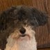 Brendon (@brendonownsu) Twitter profile photo Brendon (@brendonownsu) Twitter profile photo