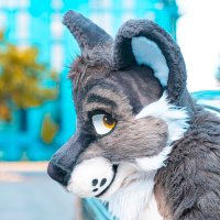 🅰️very (RIP TWlTTER)(@Avery_The_Wolf) 's Twitter Profile Photo