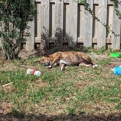 IntegralIntegrt's profile picture. $Balboa1233 
he/him