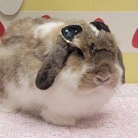 ユキナト (@yukinato_0103) 's Twitter Profile