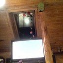 dennis hansen - @dennis1644 - Twitter