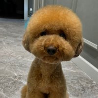 Selimefe (@selmefe) 's Twitter Profile