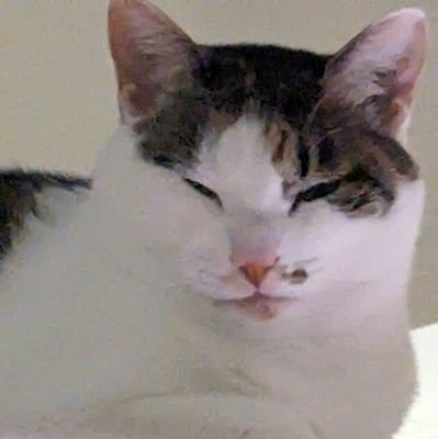 0255se's profile picture. きっと愛