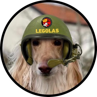 Legolas, the Afghan Hound! A funny dog from Sweden. Private Legolas in @ZombieSquadHQ #ZSHQ #dogsoftwitter #dog #dogs