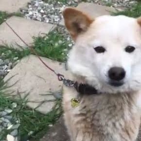 Cardtime_Iwano's profile picture. デュエルマスターズとポケモンカードをやっています。
最近はDM1:ポケカ9くらいの力の入れ方になっています。
フォロバはほぼ100％のはず・・・

DM資料館というチャンネルでデュエルマスターズに関する動画を投稿していました