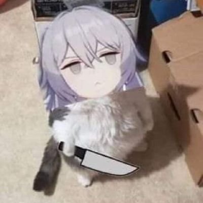 Iris Smonaさんのプロフィール画像