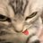 stroouberry's profile image