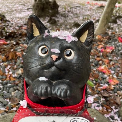 浄土宗第二祖の聖光上人開基の歴史由緒あるお寺です。市内の中心部にありながらひっそりとした佇まいのどこかわびさびを感じるお寺。尾道ならではの長い石段を上がった先に見えるのは尾道水道。境内は春は桜、夏は風鈴の音色が聞こえ、花火が見える絶景スポット。日常のあれこれや季節の移り変わりをみなさまにおとぜひフォローお届けします。