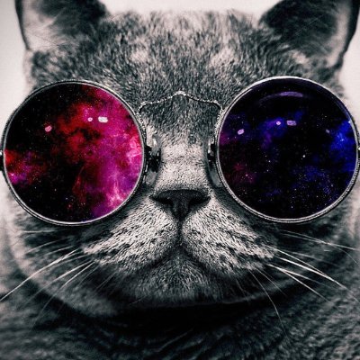 JuriDekoo's profile picture. 💙 https://t.co/XWq2XHTJiJ Army