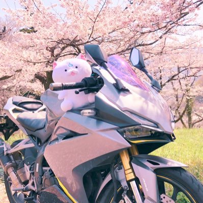 35ライダー🏁 🌸☄️さんのプロフィール画像