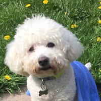 angel 🌈C d C & Ruby ❤️🌈 ❤️💔 (@charliedecheeky) 's Twitter Profile