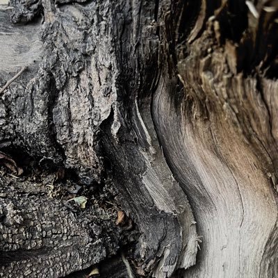 lulualmufarrej's profile picture. ”كُـن ذا أثـر“