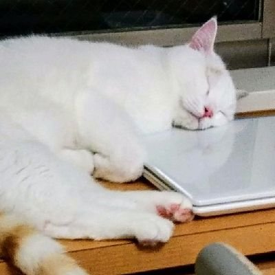 FRANさんのプロフィール画像