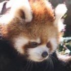 天然果汁さんのプロフィール画像