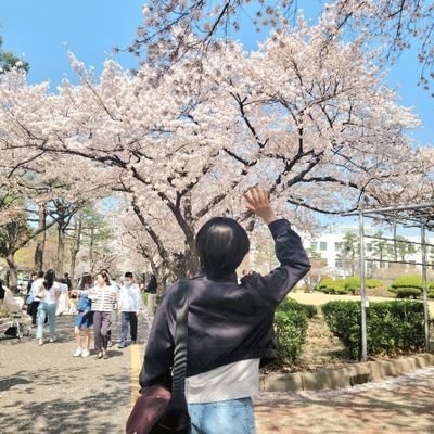 톡 ( 주말 상의후 조율가능 )さんのプロフィール画像