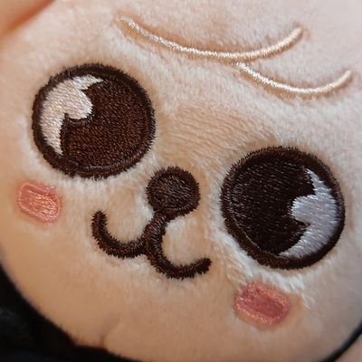 Hello. This is me mainly screaming about skz; sometimes I sew and make plushies.
⬆️25 | 🇩🇪🇻🇳