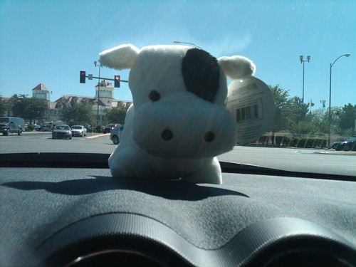 WowReallyVic's profile picture. My pronouns are U.S.A 🇺🇸