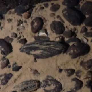 Kyushu2022's profile picture. 