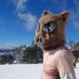 マコ (@mako_sunobo) Twitter profile photo マコ (@mako_sunobo) Twitter profile photo