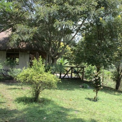 DaymanFrancoise's profile picture. Tweets about traveling to and in Uganda- Safaris and Overlanding