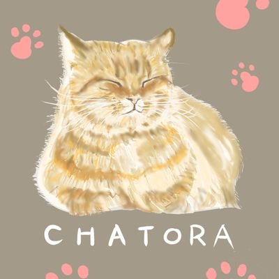 doyさんのプロフィール画像