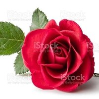 Soumya (@soumya1311) 's Twitter Profile Photo Soumya (@soumya1311) 's Twitter Profile Photo