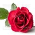 Soumya (@soumya1311) Twitter profile photo Soumya (@soumya1311) Twitter profile photo