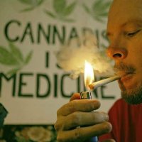 Dr. Cheek (@joshcheek420) 's Twitter Profile