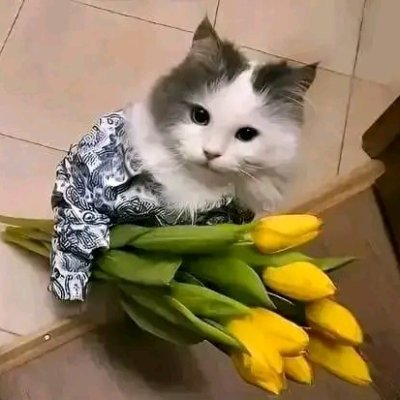 DoonJhons's profile picture. 🙂🙂🙂🙂