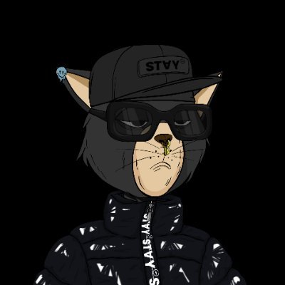 staycatsnft Profile Picture