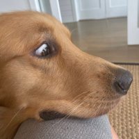 Brendan OConnor (@boconnor4407) 's Twitter Profile