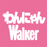 【公式】わんにゃんWalker(@wannyanwalker) 's Twitter Profile Photo
