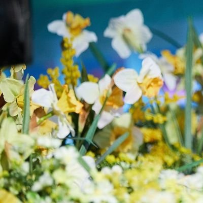 크리톤さんのプロフィール画像