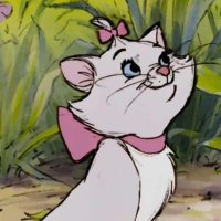 falle (@refallea) 's Twitter Profile
