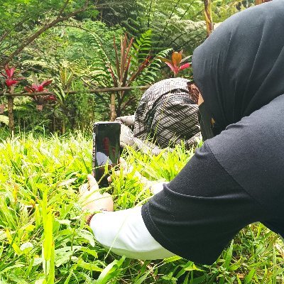 duitaingdollar's profile picture. Launch a network in minutes → @TanssiNetwork