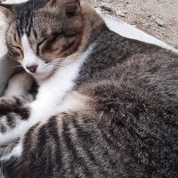 NNur92 (@nnur1992) 's Twitter Profile