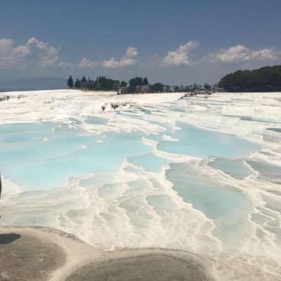 themusa0's profile picture. 